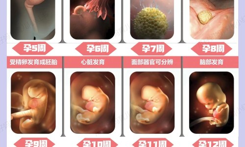 月子病下个月一能养过来吗-月子病是不是再生个孩子就能治好了专区_月子病下个月一能养过来吗专区_月子病会在下个月子养好吗网