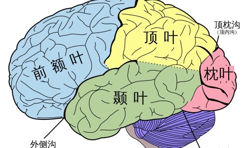 月子病是不是再生个孩子就能治好了专区_月子病下个月一能养过来吗专区_月子病会在下个月子养好吗网